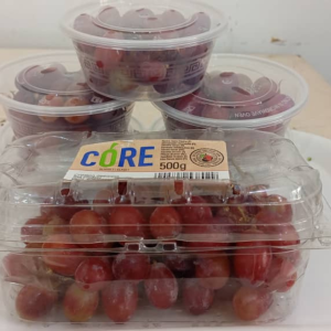 GRAPE FRUIT ( LARGE )